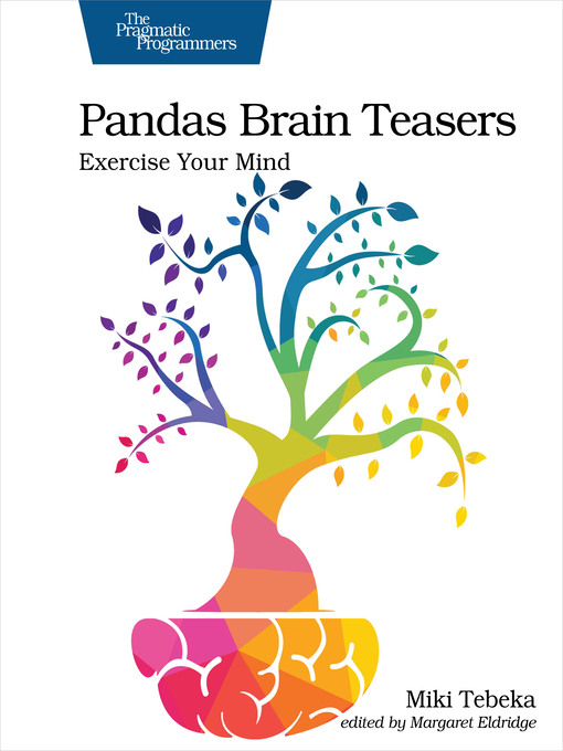 Cover image for Pandas Brain Teasers